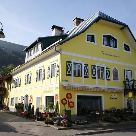 Ferienappartement Royer Schladming Dış mekan fotoğraf